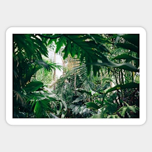 Tropical Plants Leaves Mix Sticker